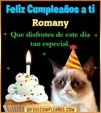 Gato meme Feliz Cumpleaños Romany